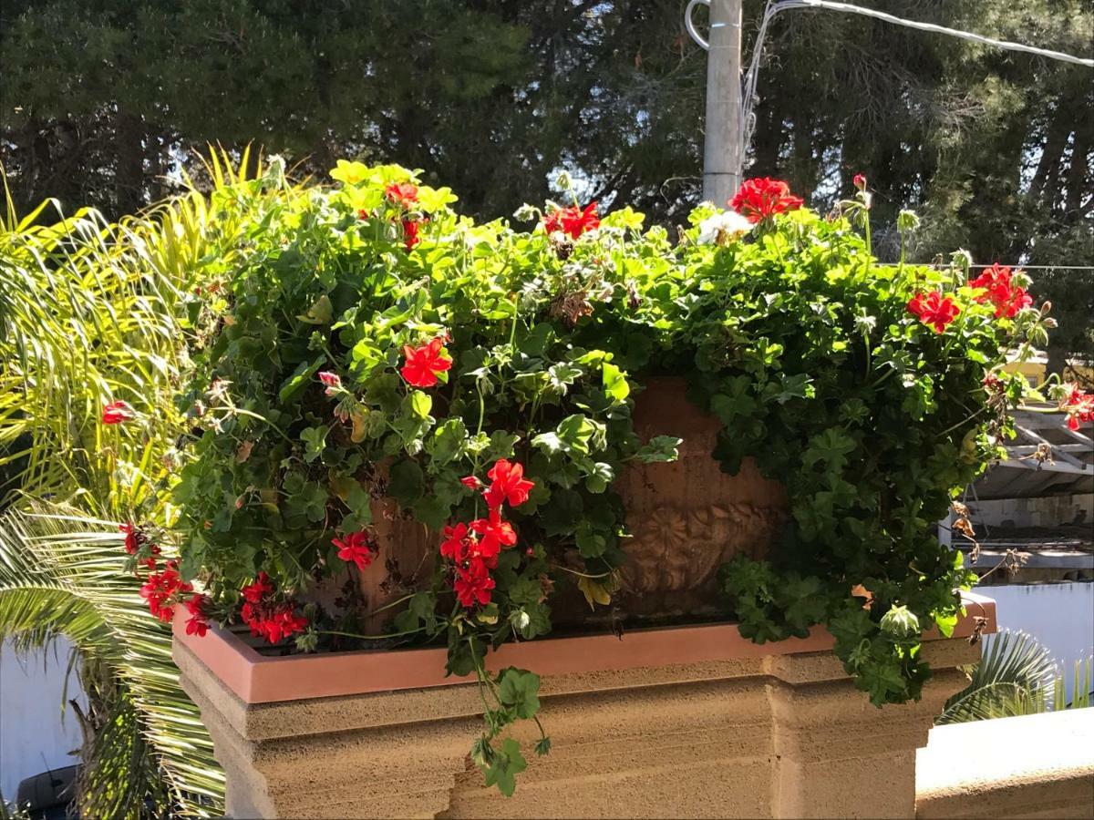 Villa Relax Sul Mare Gallipoli Bagian luar foto